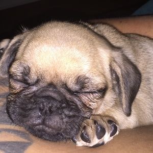 Meet your Posher, Kevin